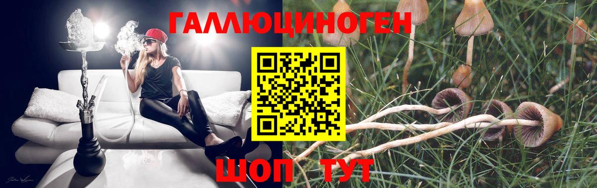 Псилоцибиновые грибы GOLDEN TEACHER Владивосток