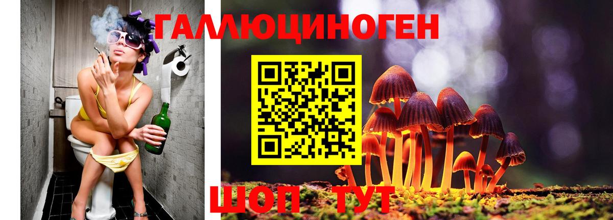 Галлюциногенные грибы мухоморы  Галлюциногенные грибы Cubensis  Владивосток  Вход с VPN 